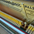 1995 Charles R Walter piano - Upright - Console Pianos